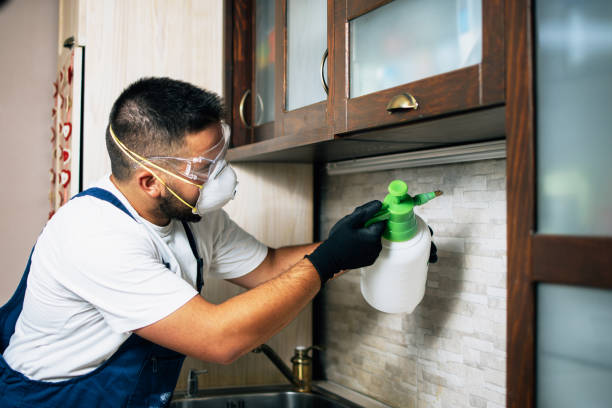 Best Pest Inspection Near Me  in Yukon, OK