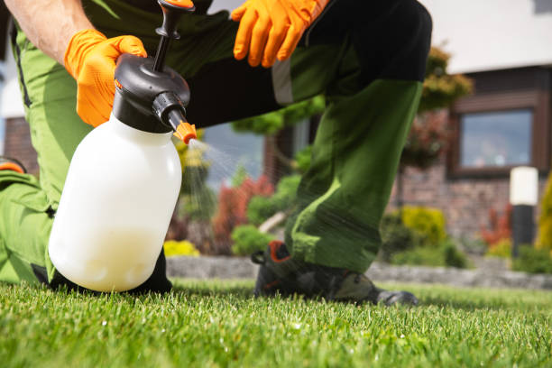 Best Affordable Pest Control Services  in Yukon, OK