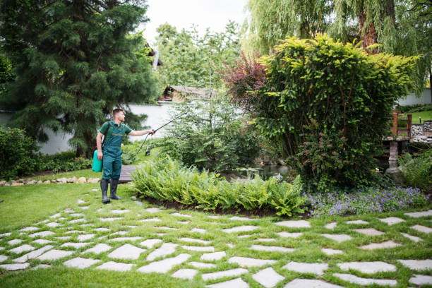 Best Local Pest Control Services  in Yukon, OK