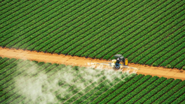 Best Local Pest Control Services  in Yukon, OK