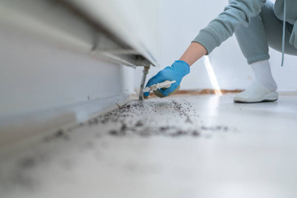 Best Mosquito Control Services  in Yukon, OK