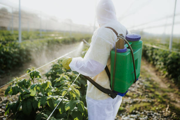 Best Ant Control Services  in Yukon, OK